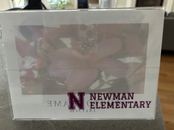 A picture of the newman elementary logo.